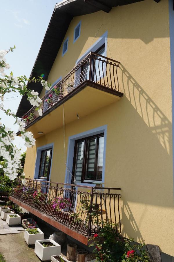 Etnobubi Apartment Novi Sip Exterior photo