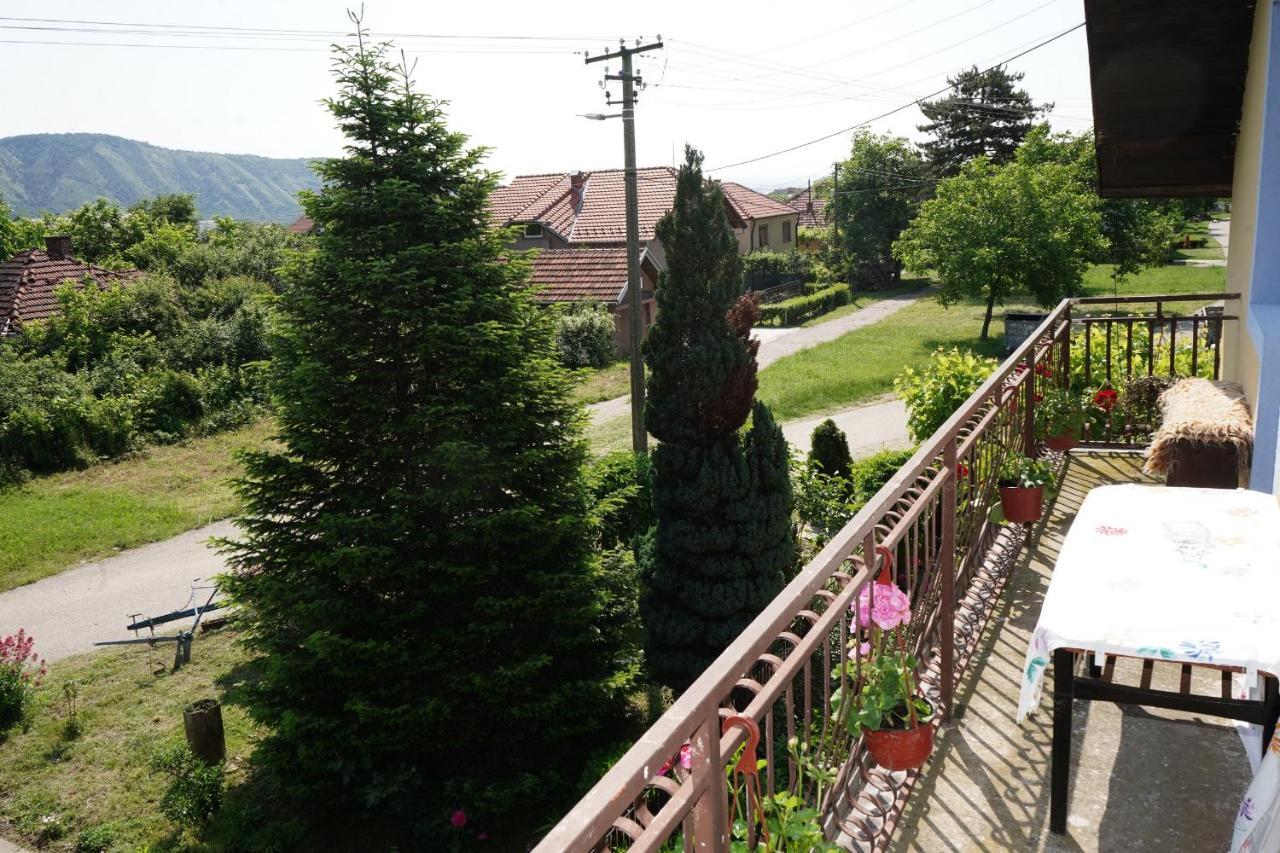 Etnobubi Apartment Novi Sip Exterior photo